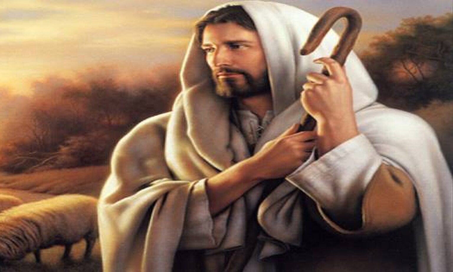 James 2 14 17 Daily Devotional In Christ